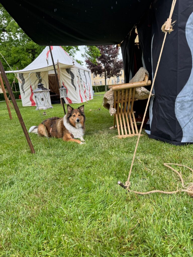 Lagerhund passt auf