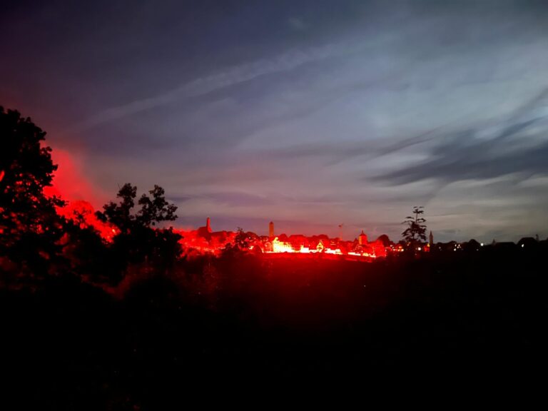 WhatsApp Image 2026-02-01 at 18.52.47 (5)