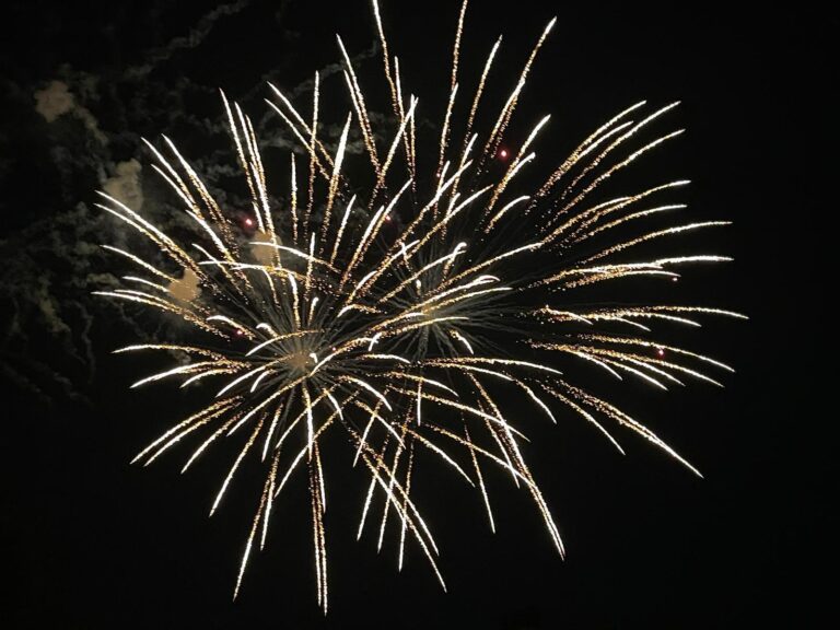 WhatsApp Image 2026-02-01 at 18.52.50