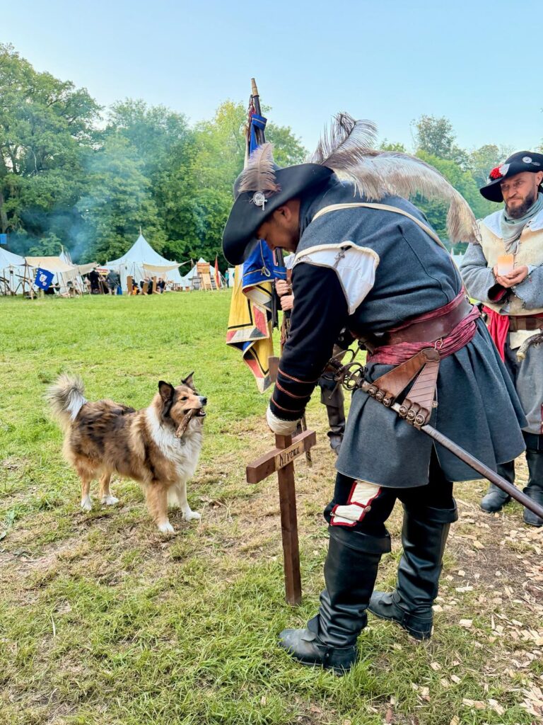 Der Hund mit Niveau